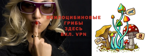 стафф Россошь