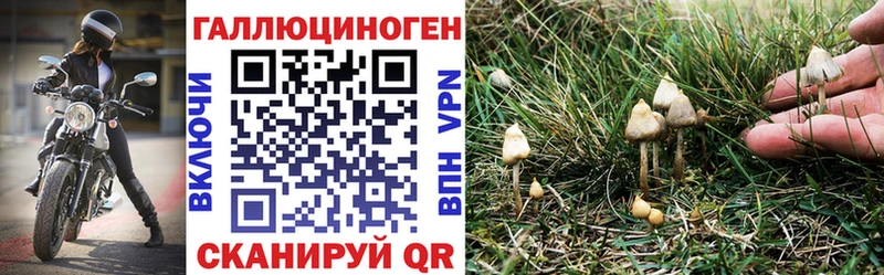 Псилоцибиновые грибы мухоморы  Камызяк 